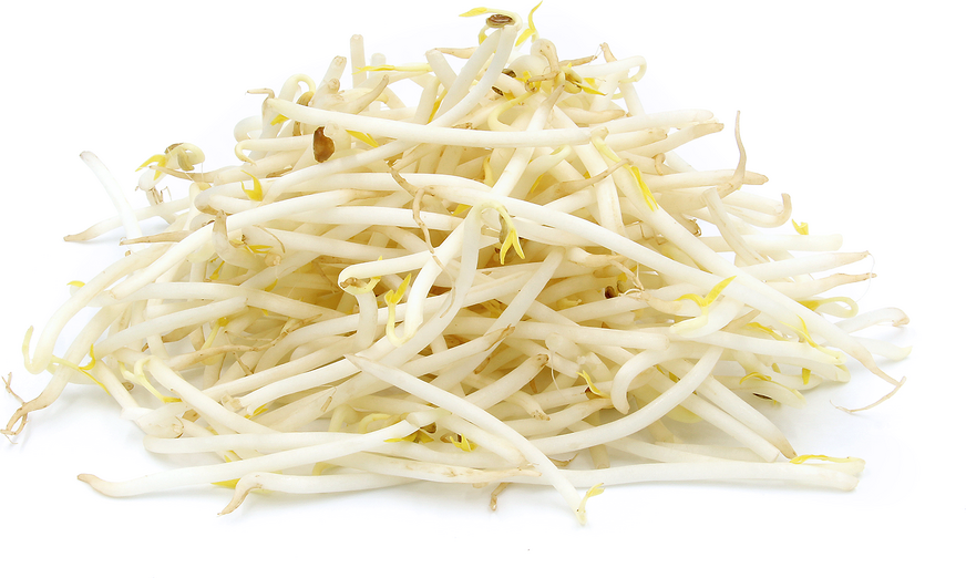 Beansprouts 350g bag Organic