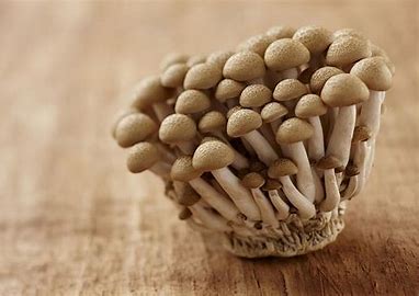 Korean Beech Mushrooms - Brown Shimeji